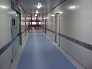 沈阳哈尔滨医院净化工程如何进行使用？